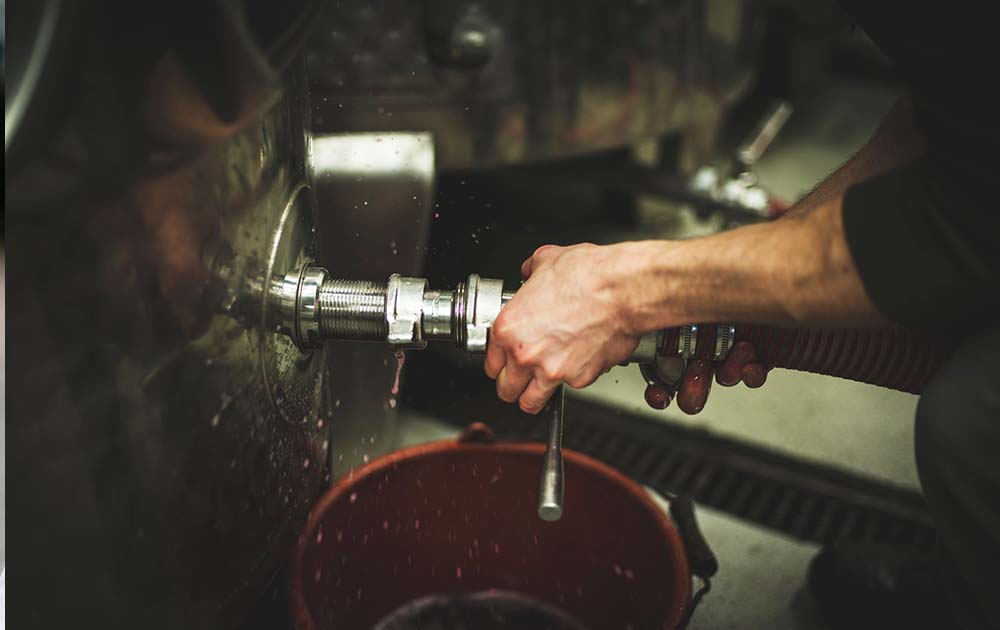 Albert und Emma Blaul